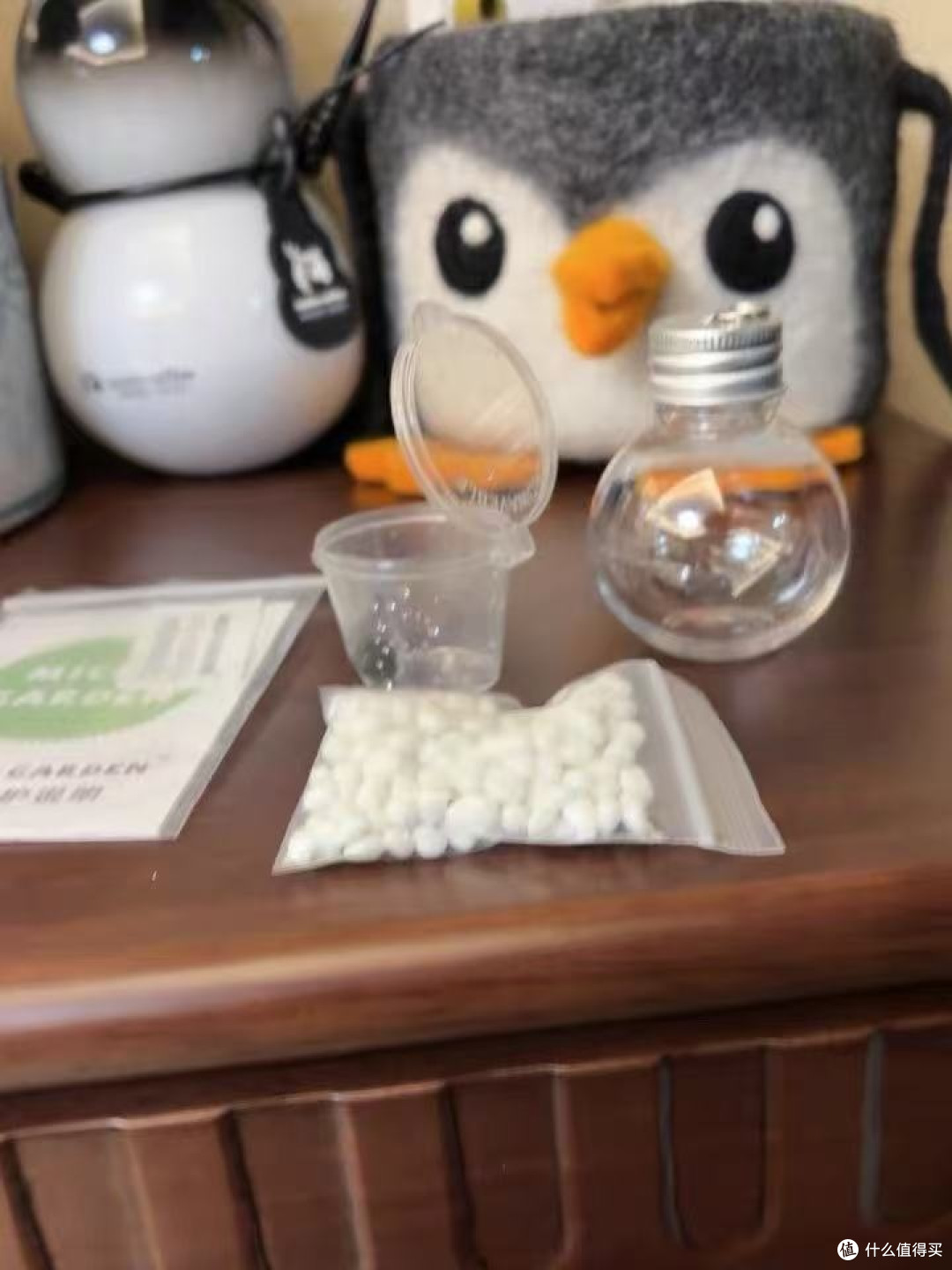 焦虑症患者自救|这颗绿藻球是我的移动冥想室!