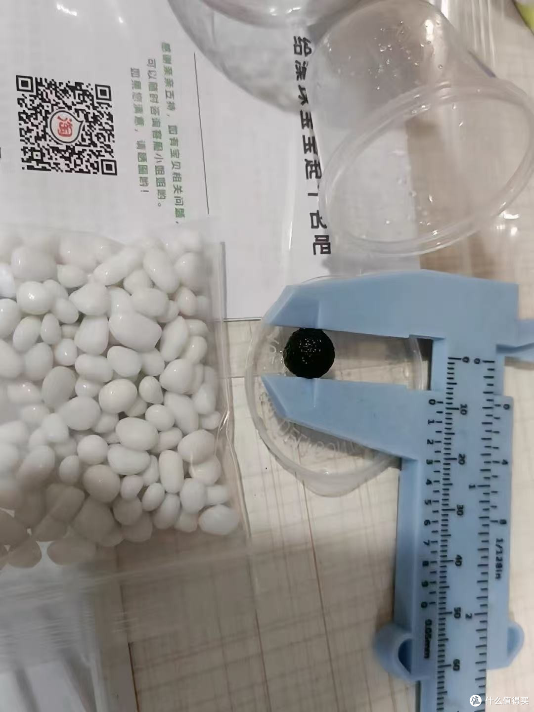 小众高级感礼物|送绿藻球比送花有品味多了!