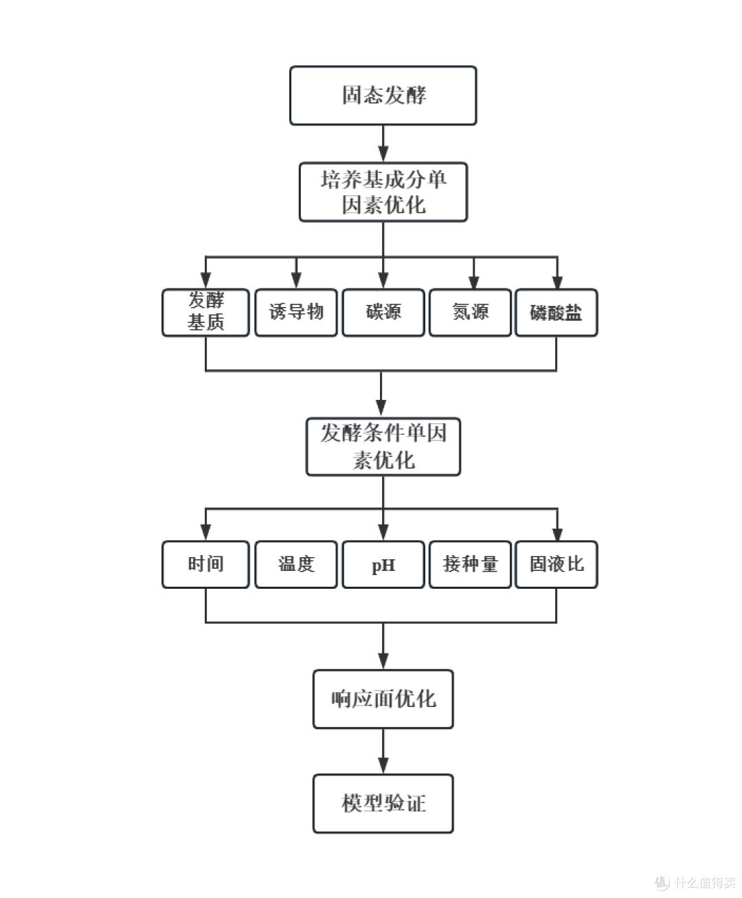 2026年大学生必备学习工具:6款软件让学习效率翻倍