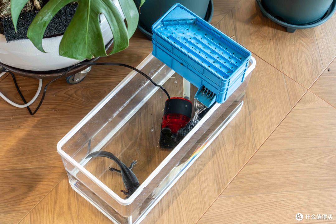 入手3台3D打印机之后,我都打了什么?这可能才是真正好玩的地方