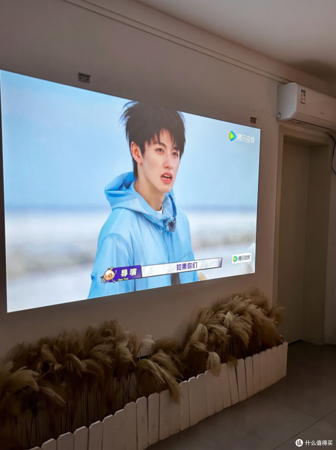 小户型投影怎么选?当贝D7XPro超亮版vs标准版,干货总结