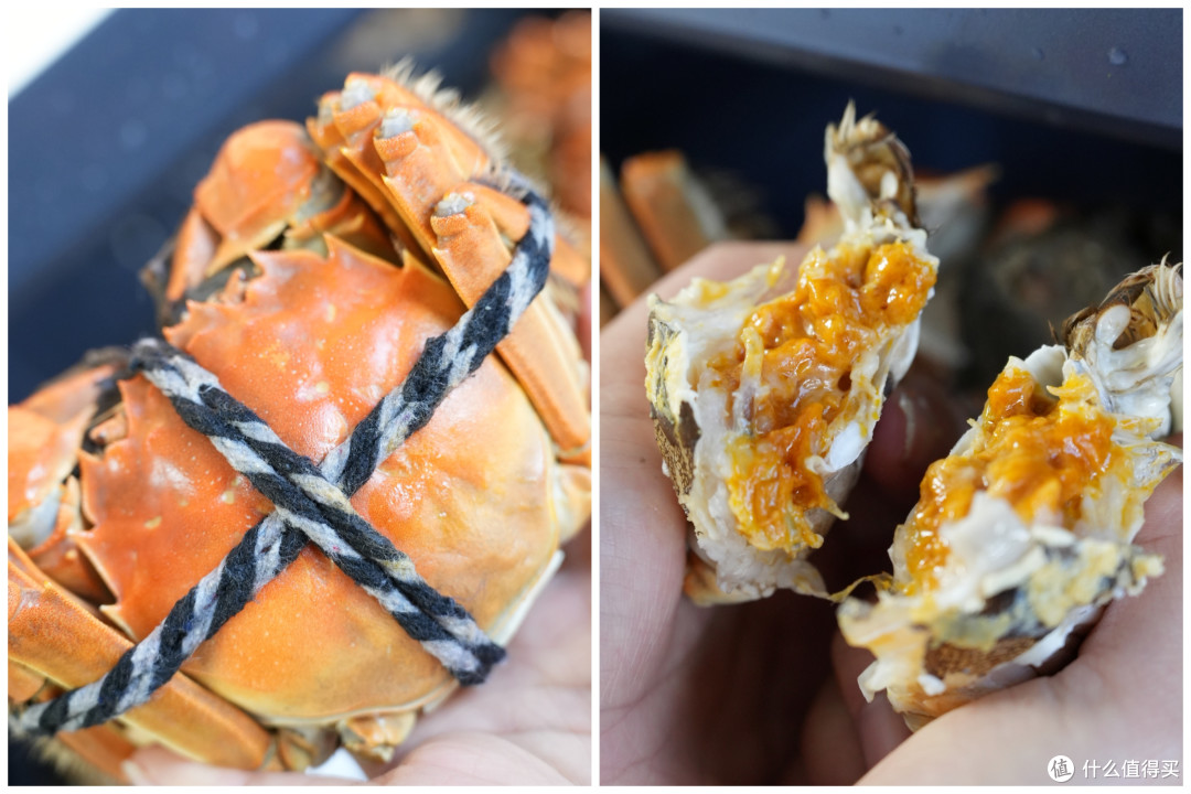到家就开饭!宜盾普X3微蒸烤一体机 打工人的硬通货