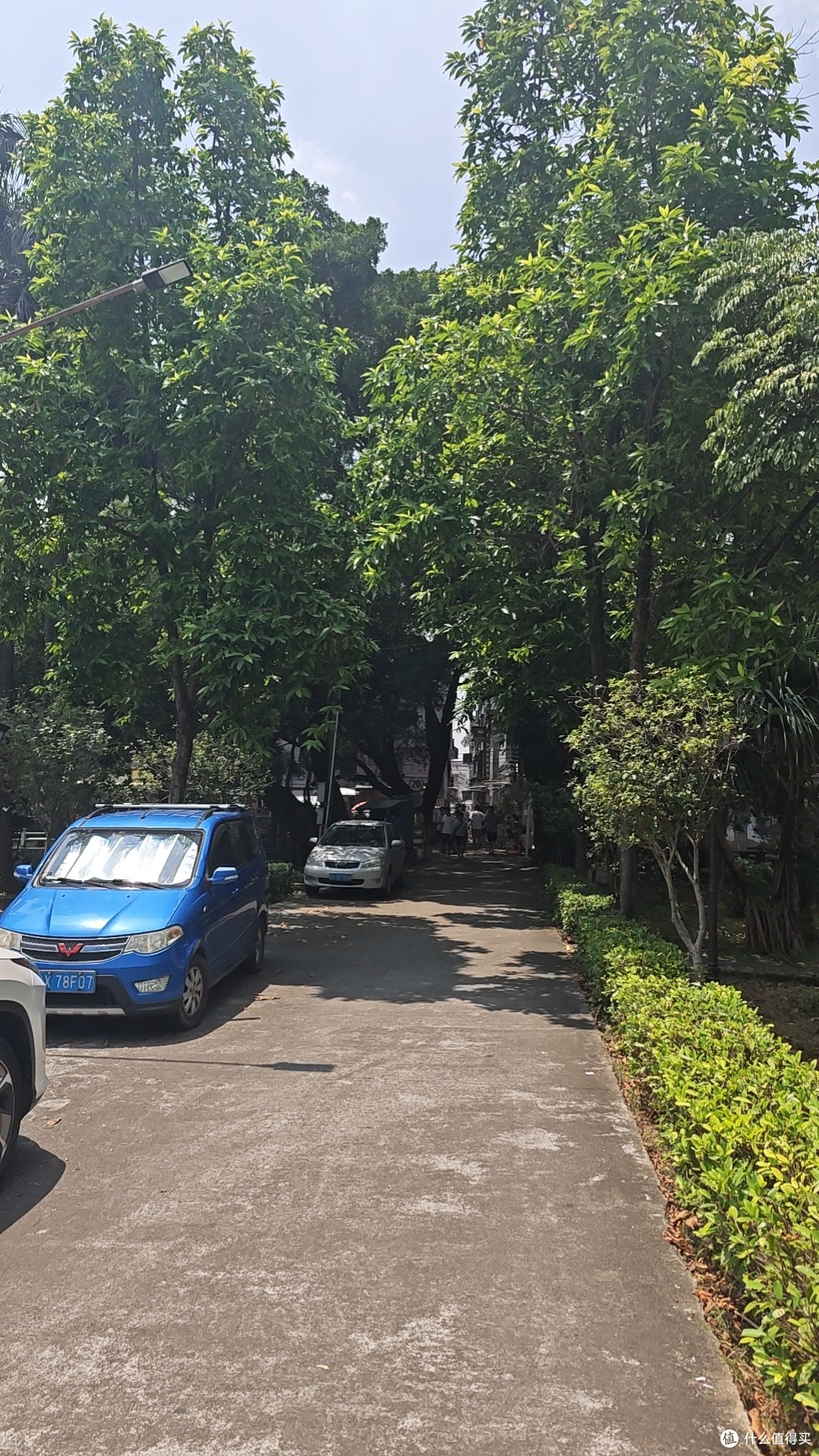 白天还是很晒的，下午太阳虽然没那么猛，但是跟蒸笼一样