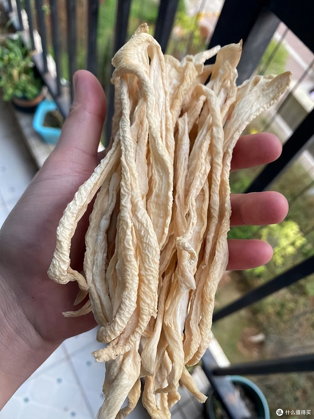 立秋后这5种菜抓紧晒,便宜量大,晒干炖肉超香,过冬有好菜了
