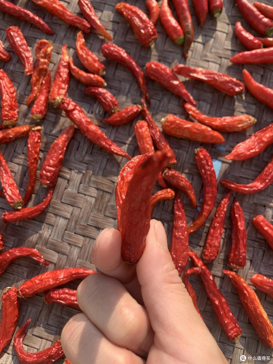 立秋后这5种菜抓紧晒,便宜量大,晒干炖肉超香,过冬有好菜了