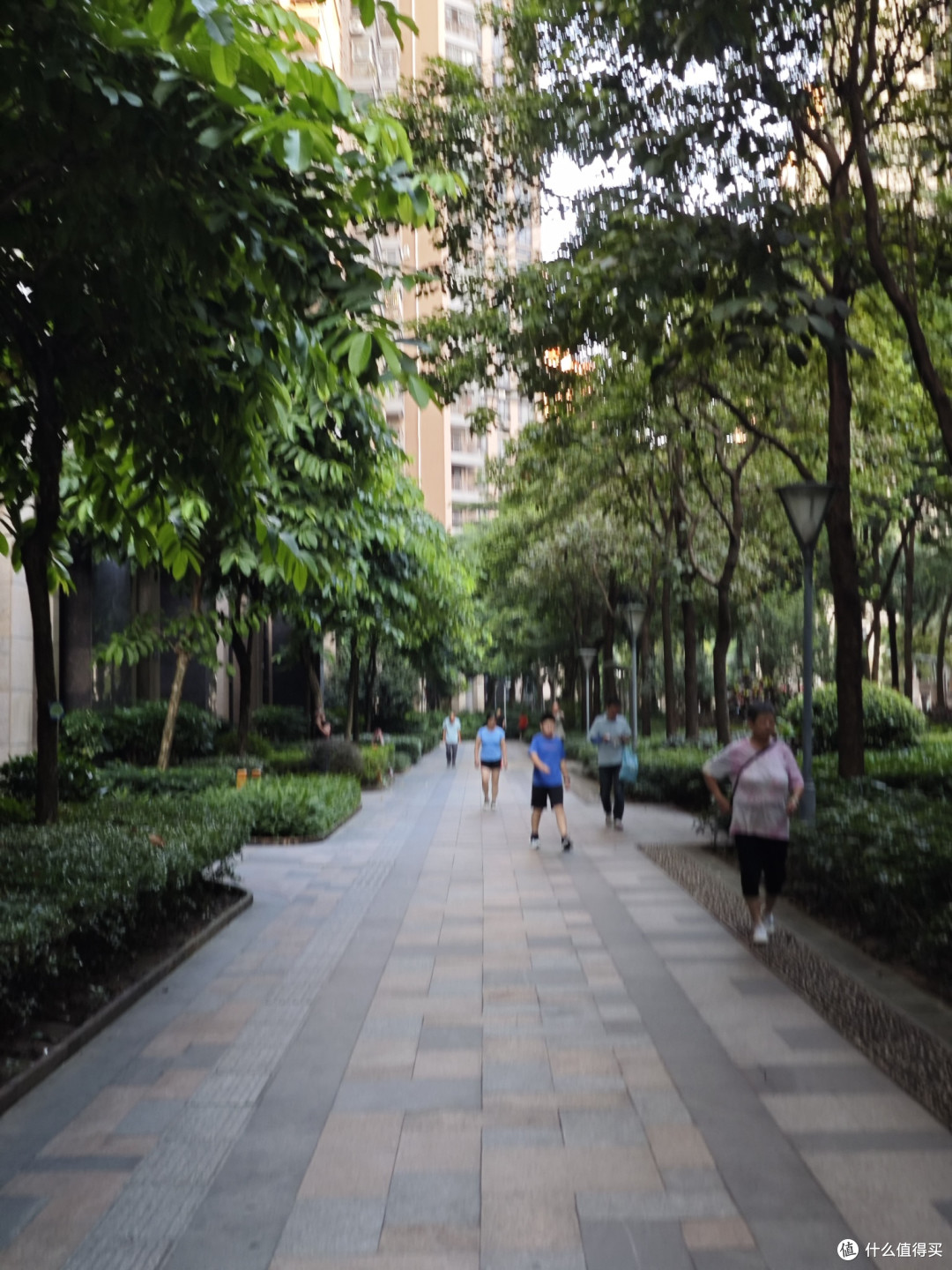 下午跑步，天气热，人也多。