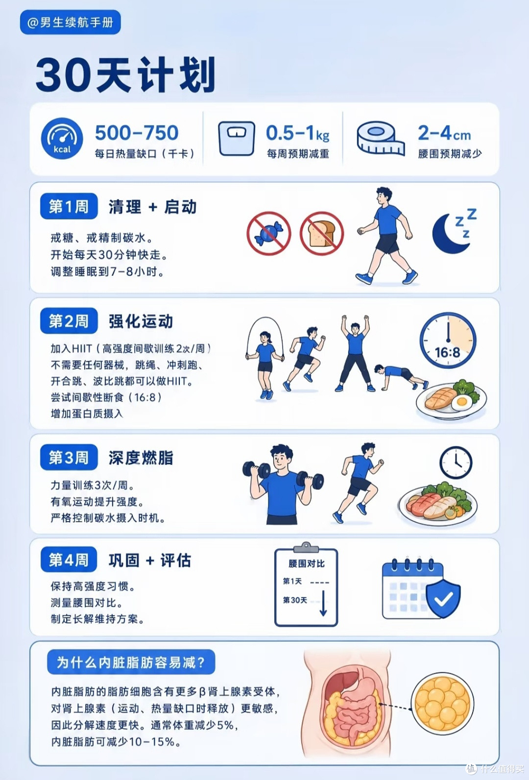 坚持30天减掉内脏脂肪,多年脂肪肝明显好转,男生减脂真实全过程