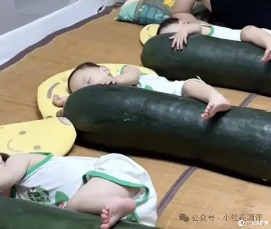 抱冬瓜睡=天然空调?半夜三点,一声爆响......