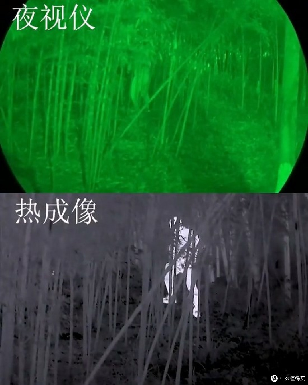 买热成像夜视仪，我踩过的坑比你想的多—2026年这份避雷心得收好