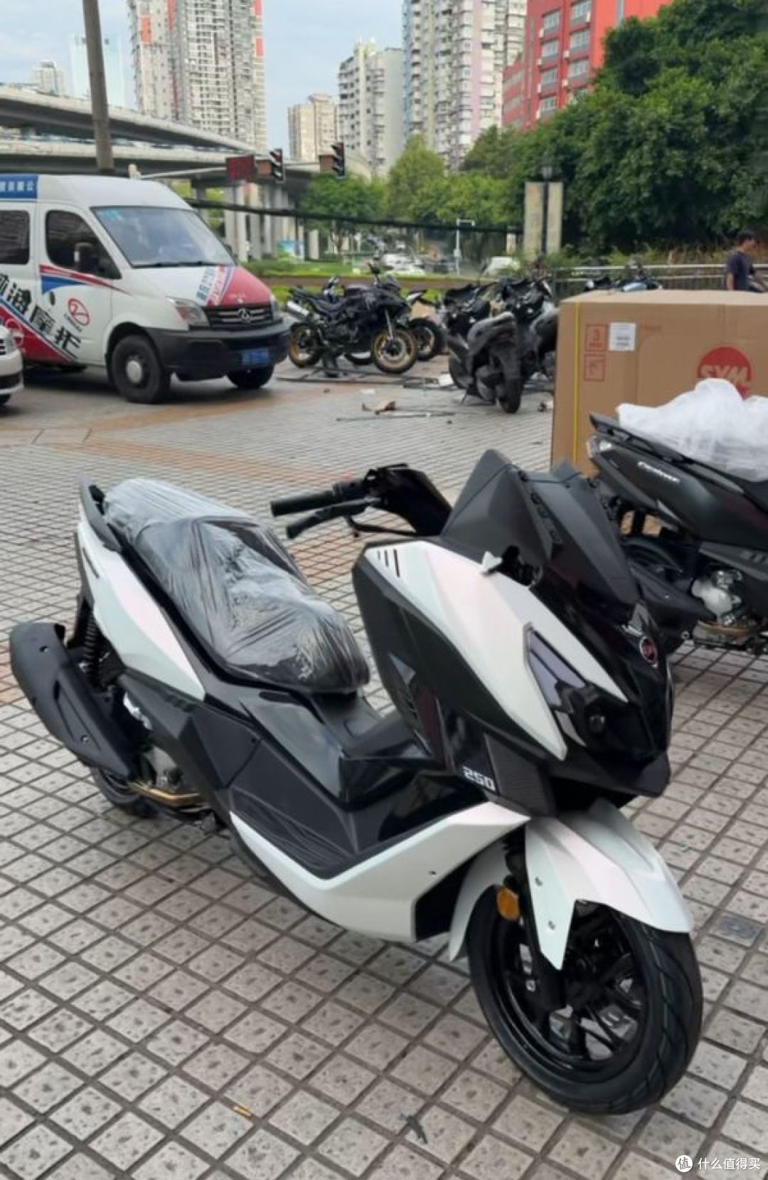 实体店初见幻光白巡弋250,一眼心动,钱包却在打退堂鼓