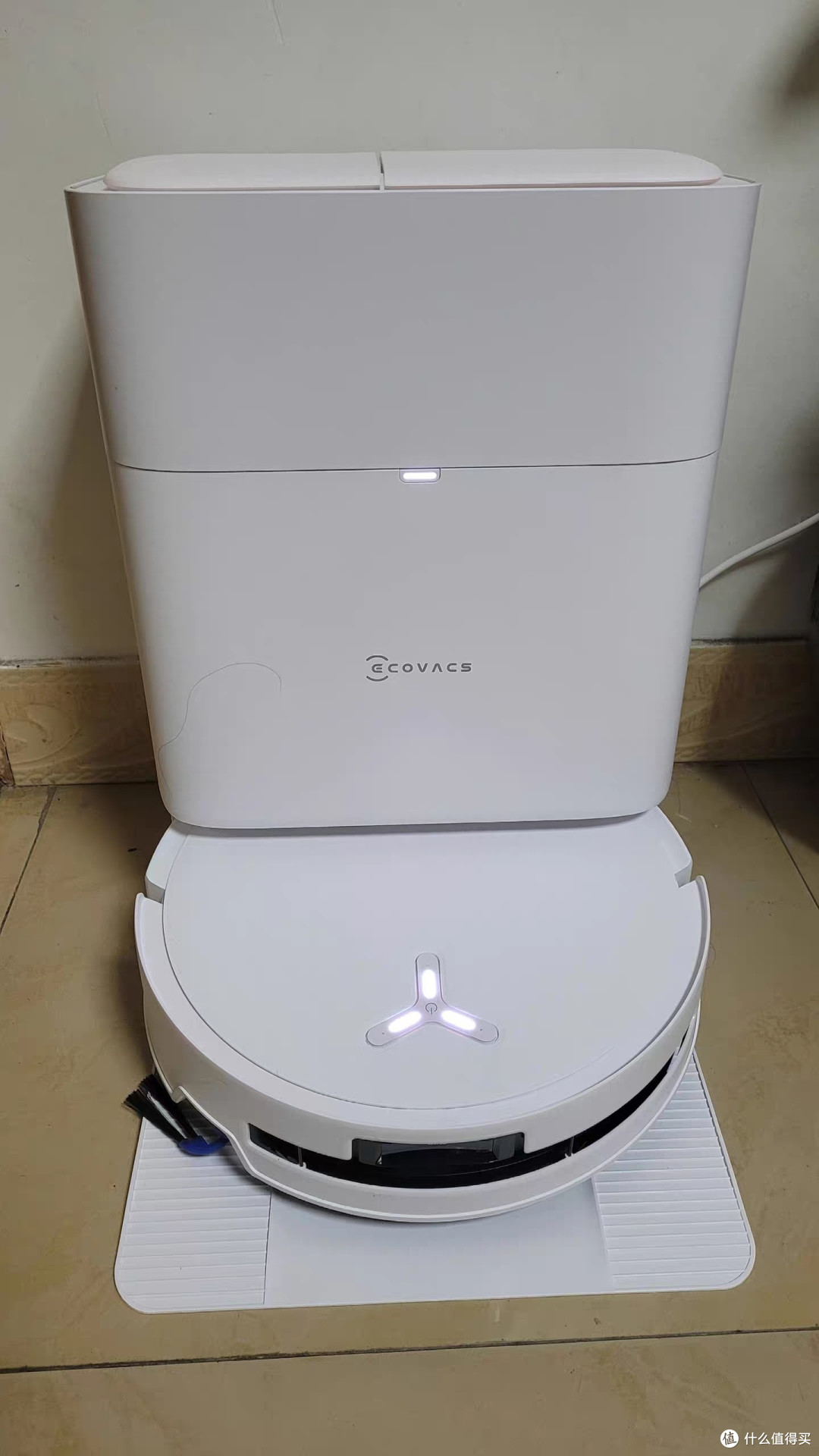 晒晒与小科的夏日日常|科沃斯T80S真实使用体验
