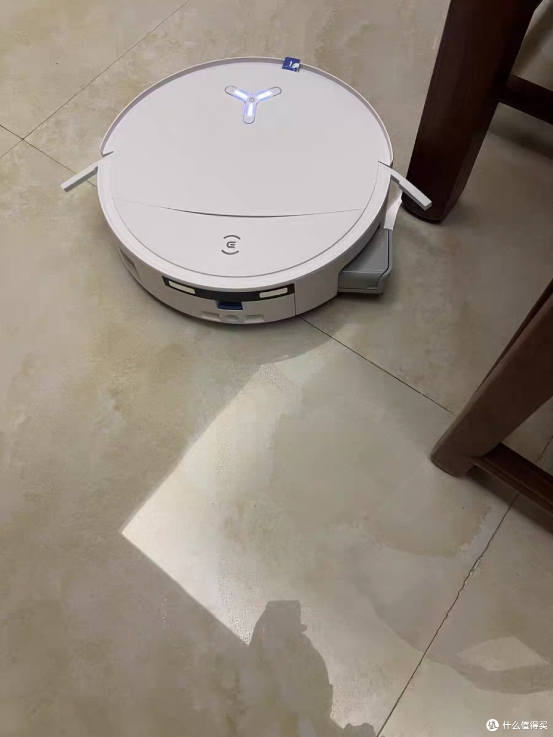 晒晒与小科的夏日日常|科沃斯T80S真实使用体验