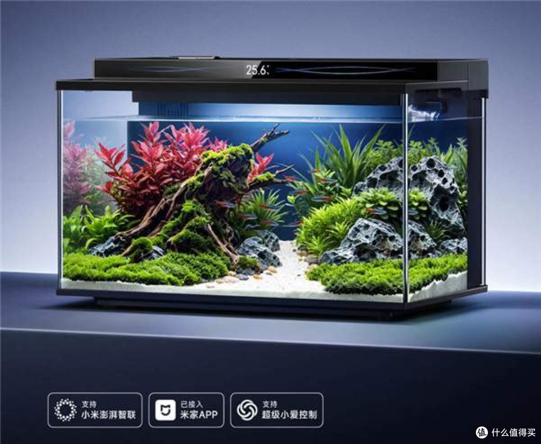 众筹价599元！小米发布米家智能鱼缸2 Pro：过滤系统加强自动喂食