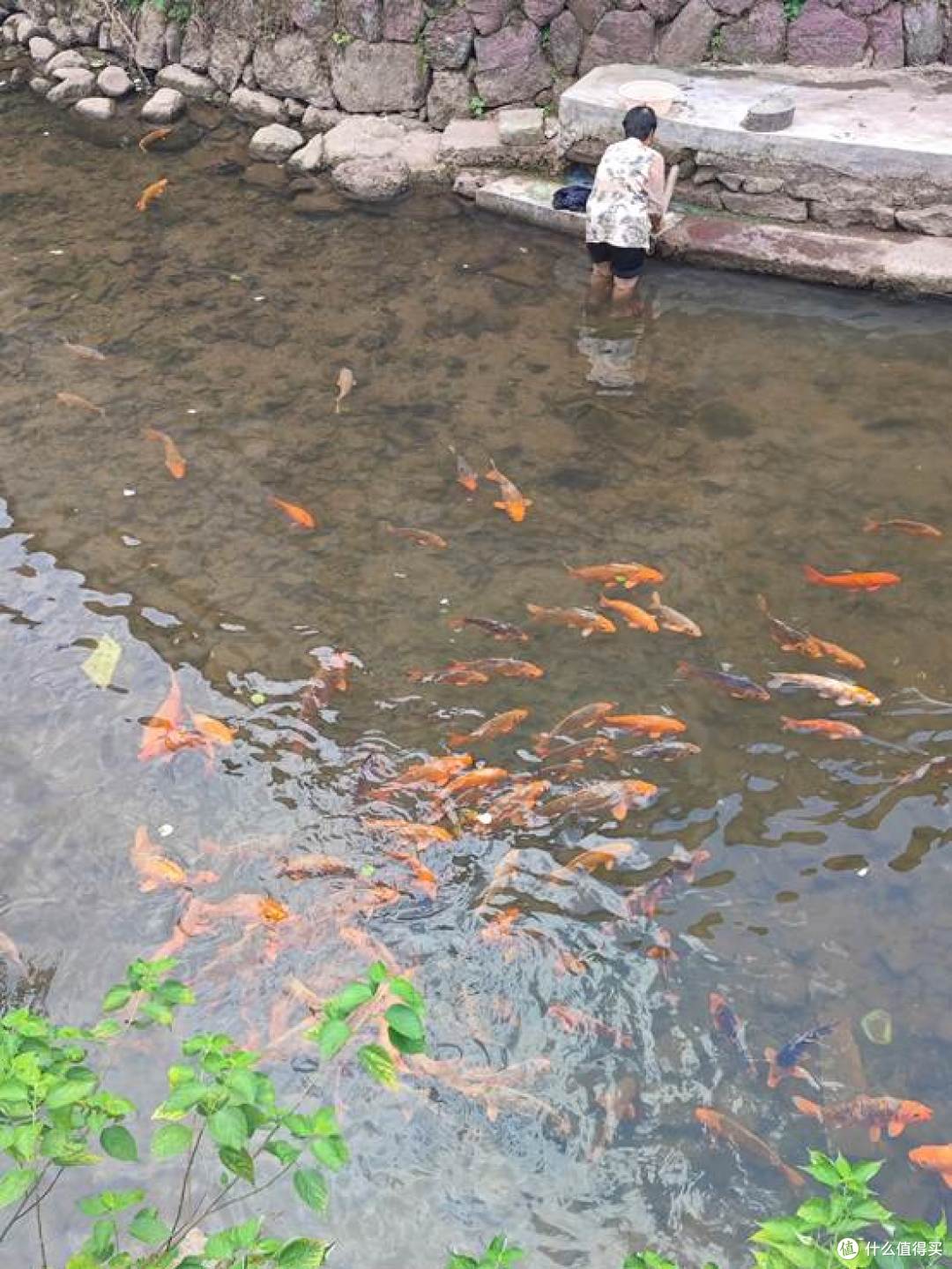 逃离城市计划之武义寿仙谷漂流,畅爽刺激的真实体验