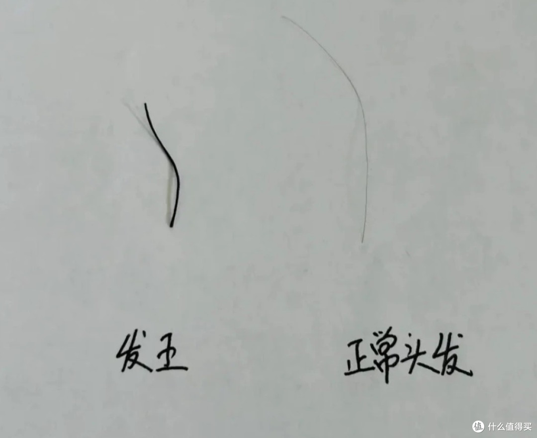 头上这根又粗又硬的东西究竟是什么?