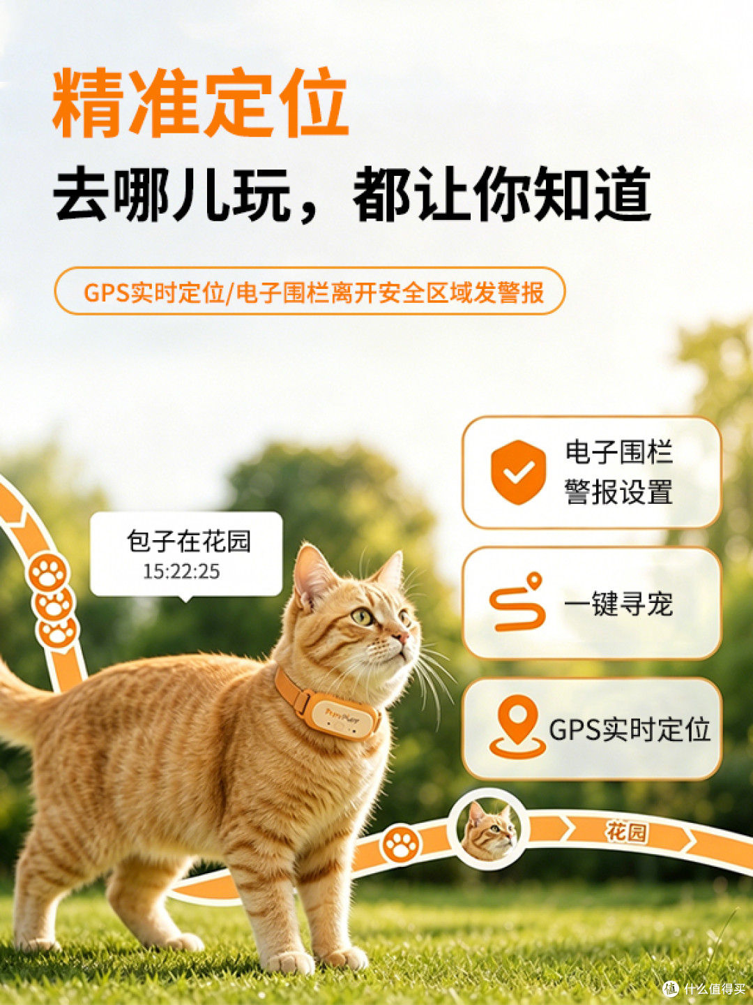 猫狗无感佩戴的AI项圈终于来了