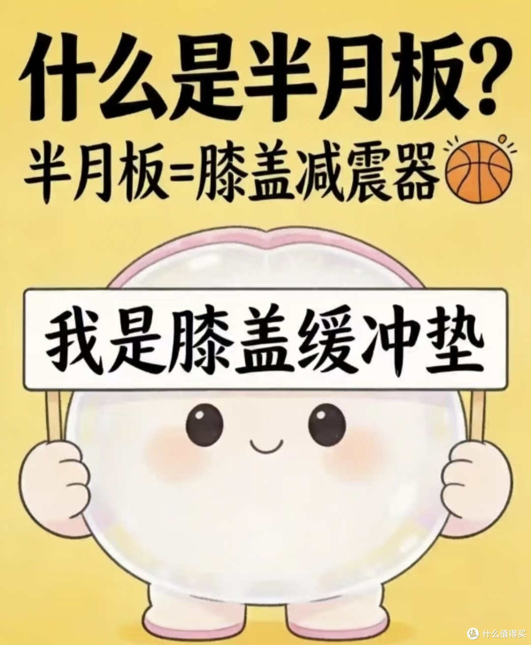健身踩坑避雷!膝盖保护、突破减肥平台期、不花冤枉钱买装备