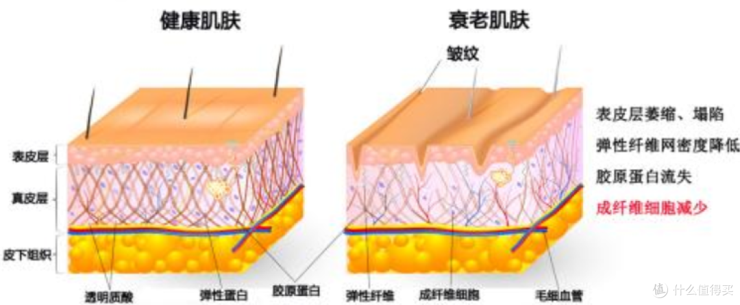 不追求速成,主打维稳!实测四款长效紧致轮廓养护套装