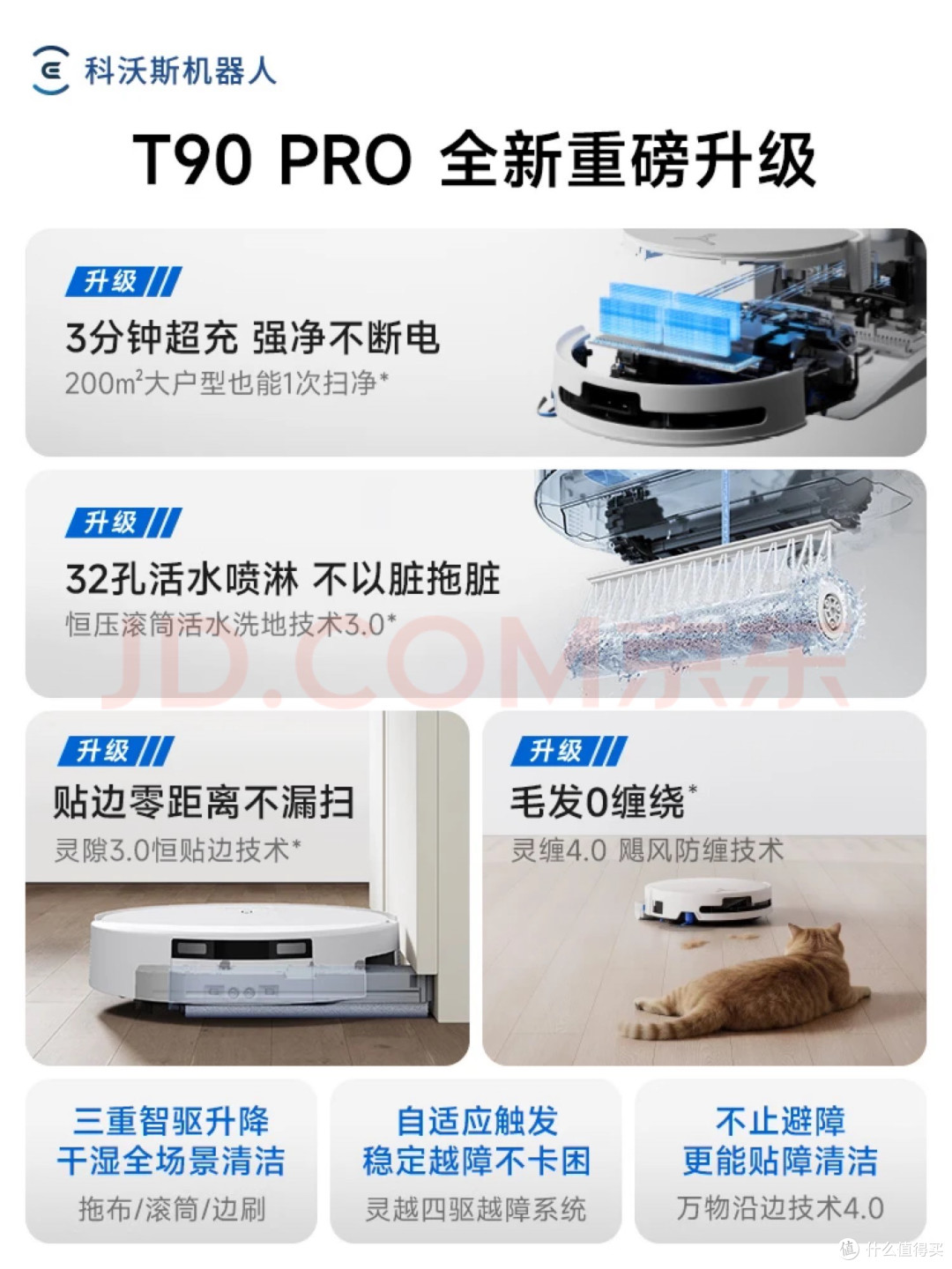 夏日躺平秘籍:我家小科承包了整个夏天