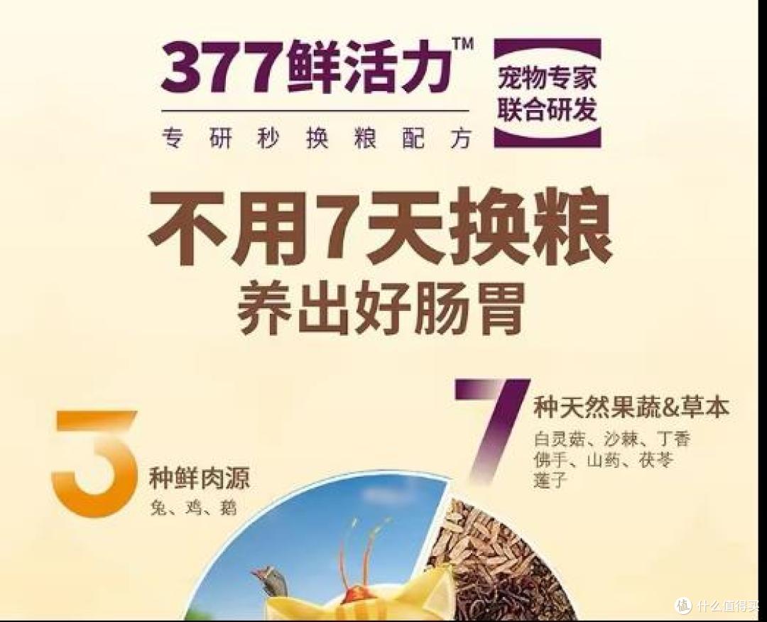 猫一天拉几次便便算正常?选主粮时别忽略排便规律