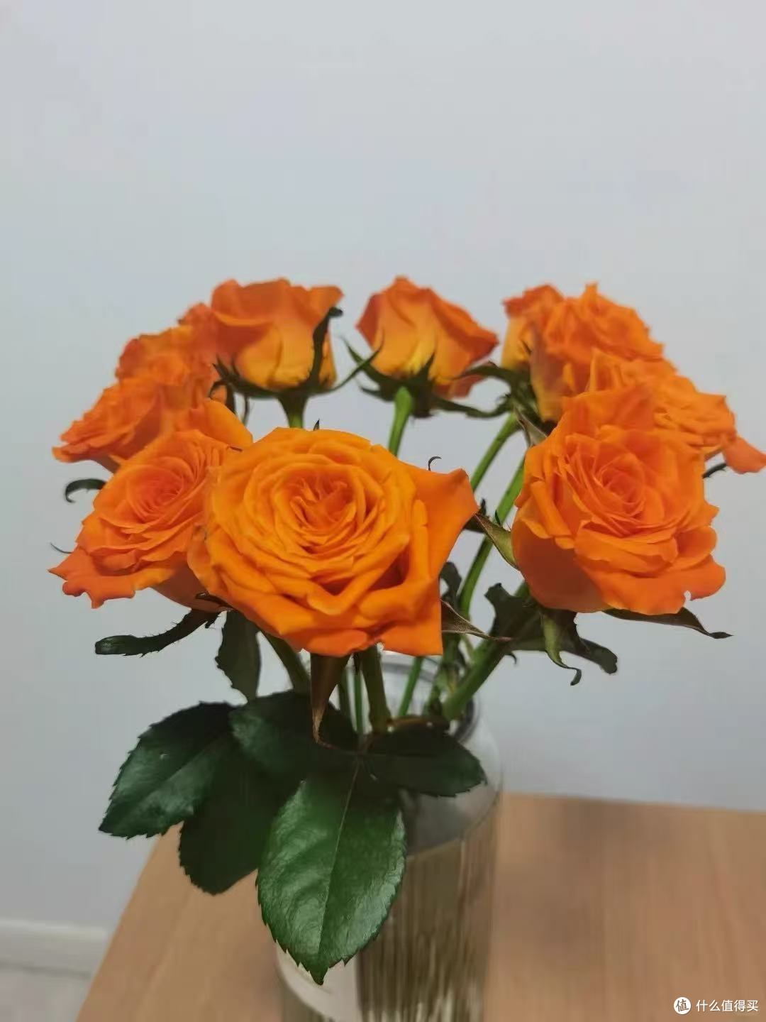 鲜花小白逆袭！这束AB级玫瑰让我养了10天还盛开