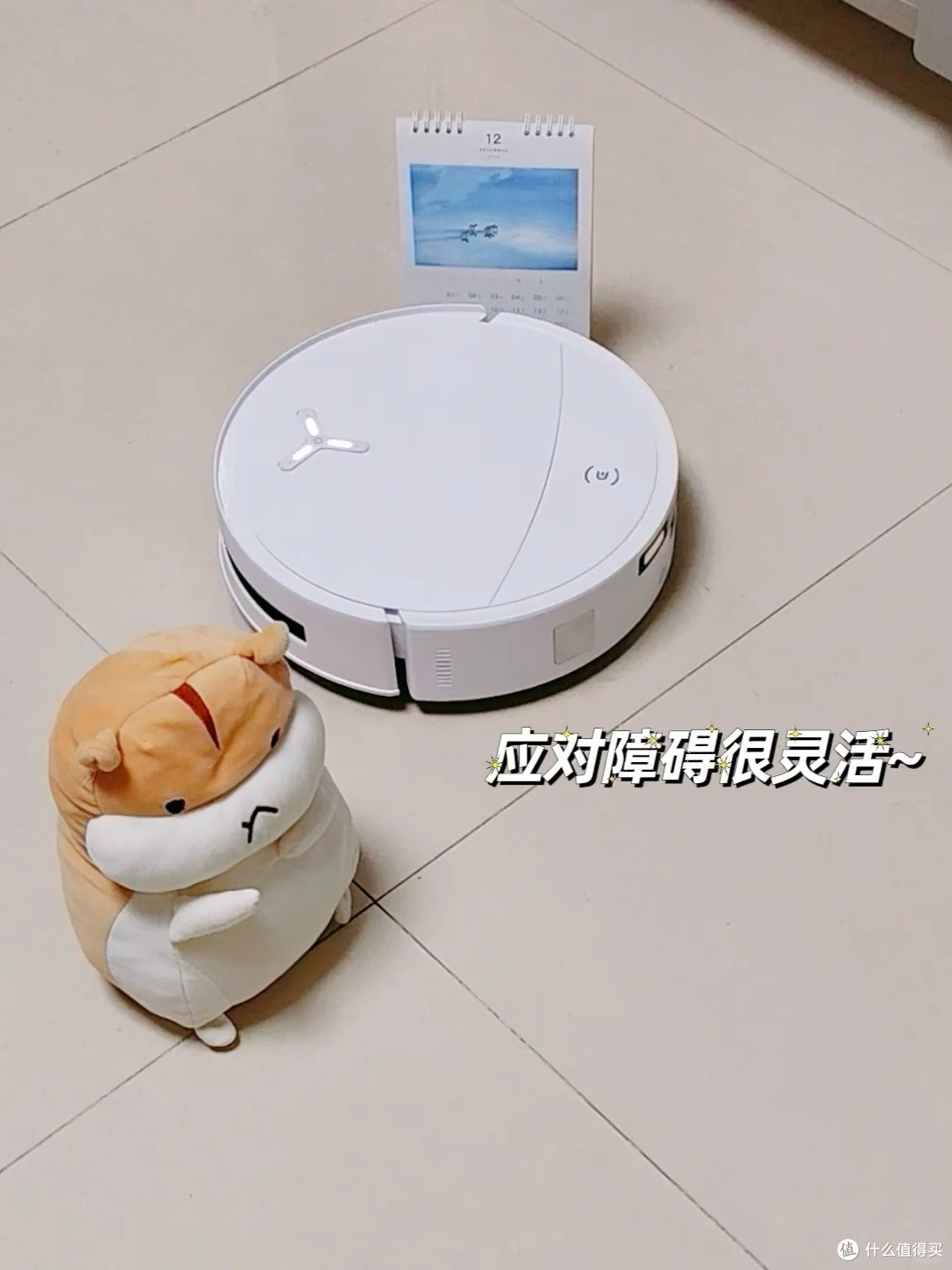 科沃斯 T80S 使用半个月｜扫地机真的今非昔比