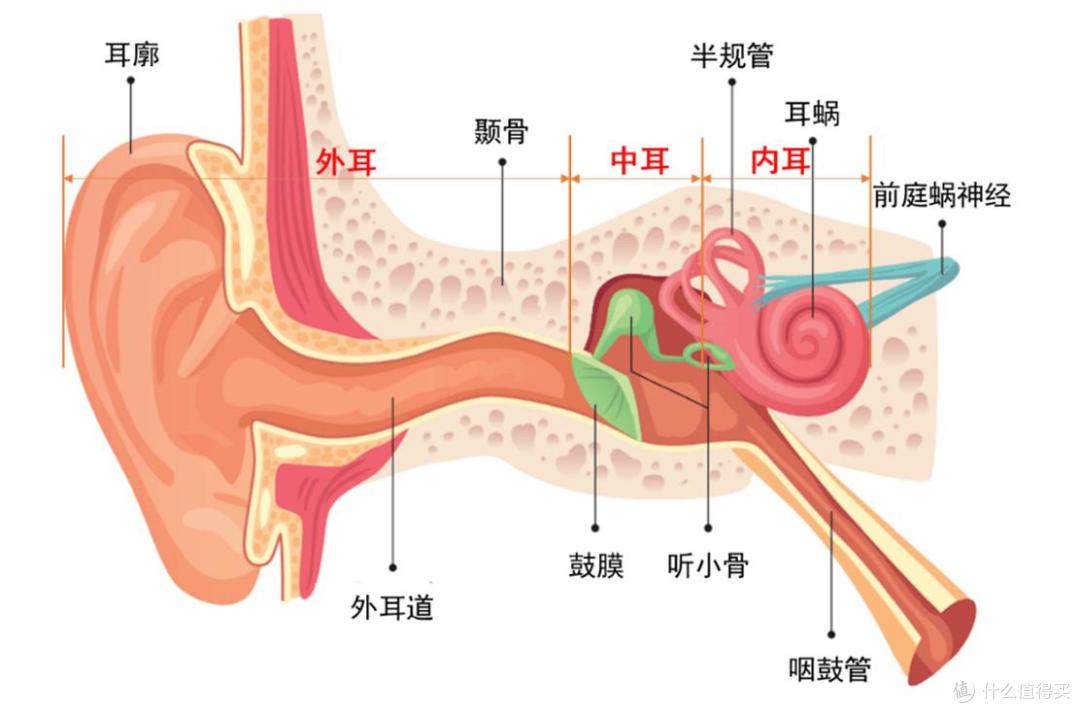 耳夹耳机哪个品牌好?耳夹耳机排行榜前十名