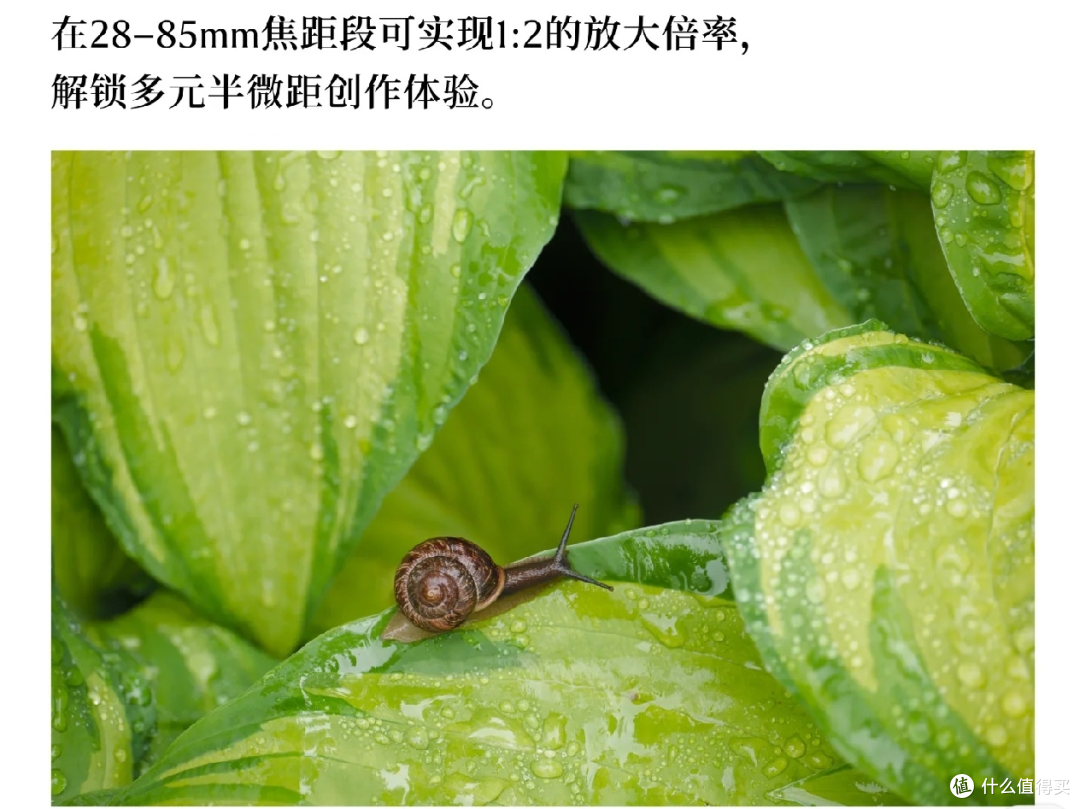 一机一镜闯四方|适马20-200mm,装下风光与烟火