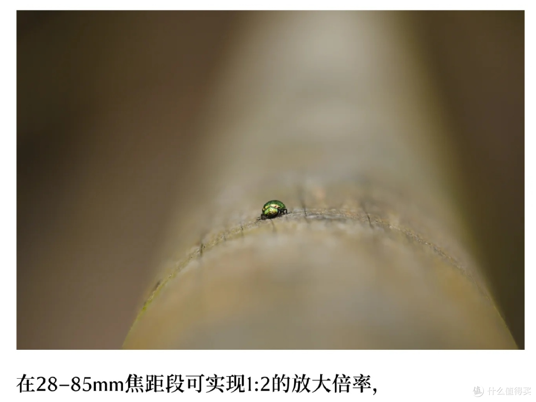 一机一镜闯四方|适马20-200mm,装下风光与烟火