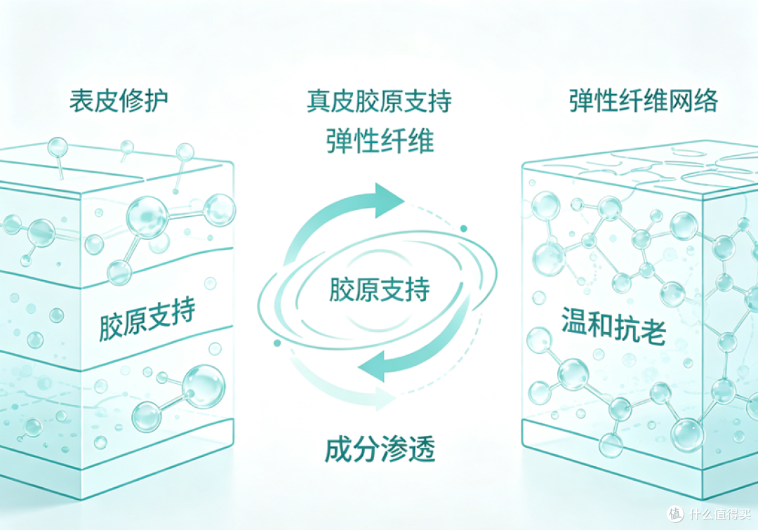 屏障脆弱如何抗老?聊聊带修护属性的植物抗衰产品