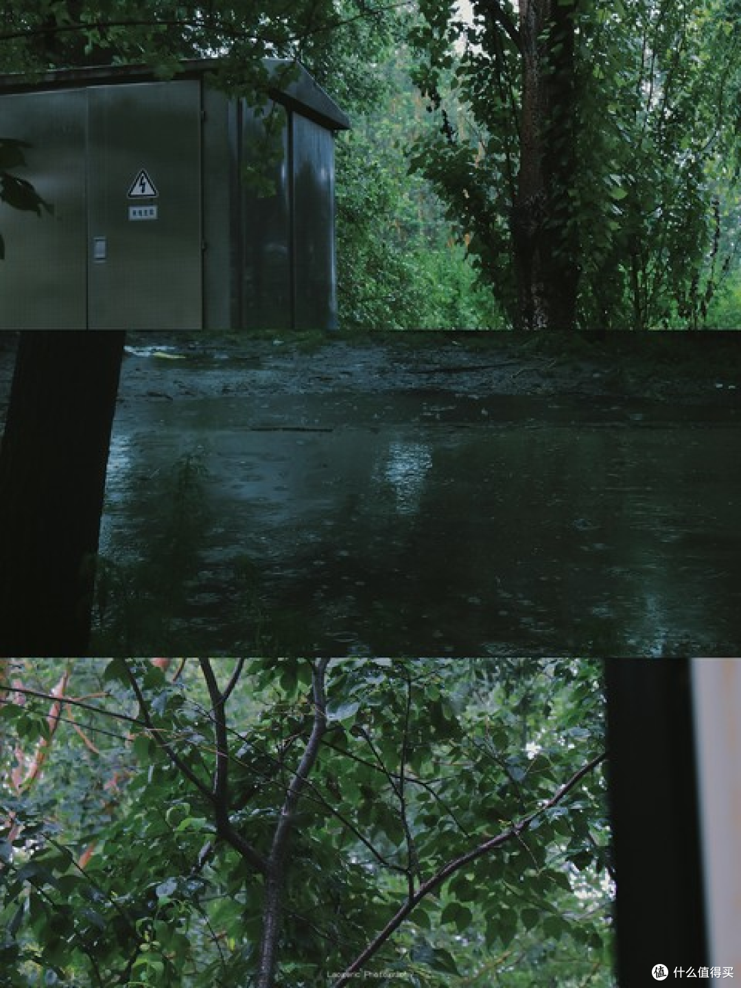生活博主自用实测:深度体验夏普D20,它如何改变梅雨季生活?