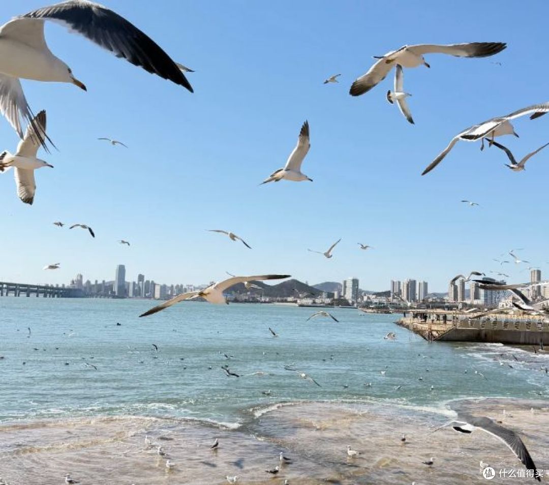 走过大连的海与街，才懂两部动画里的城市脾气