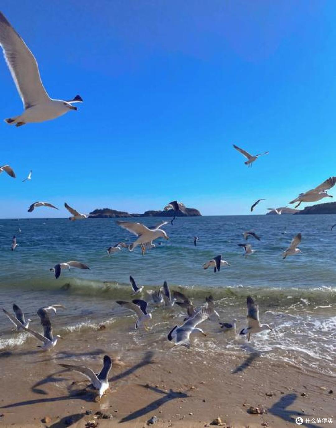 走过大连的海与街，才懂两部动画里的城市脾气