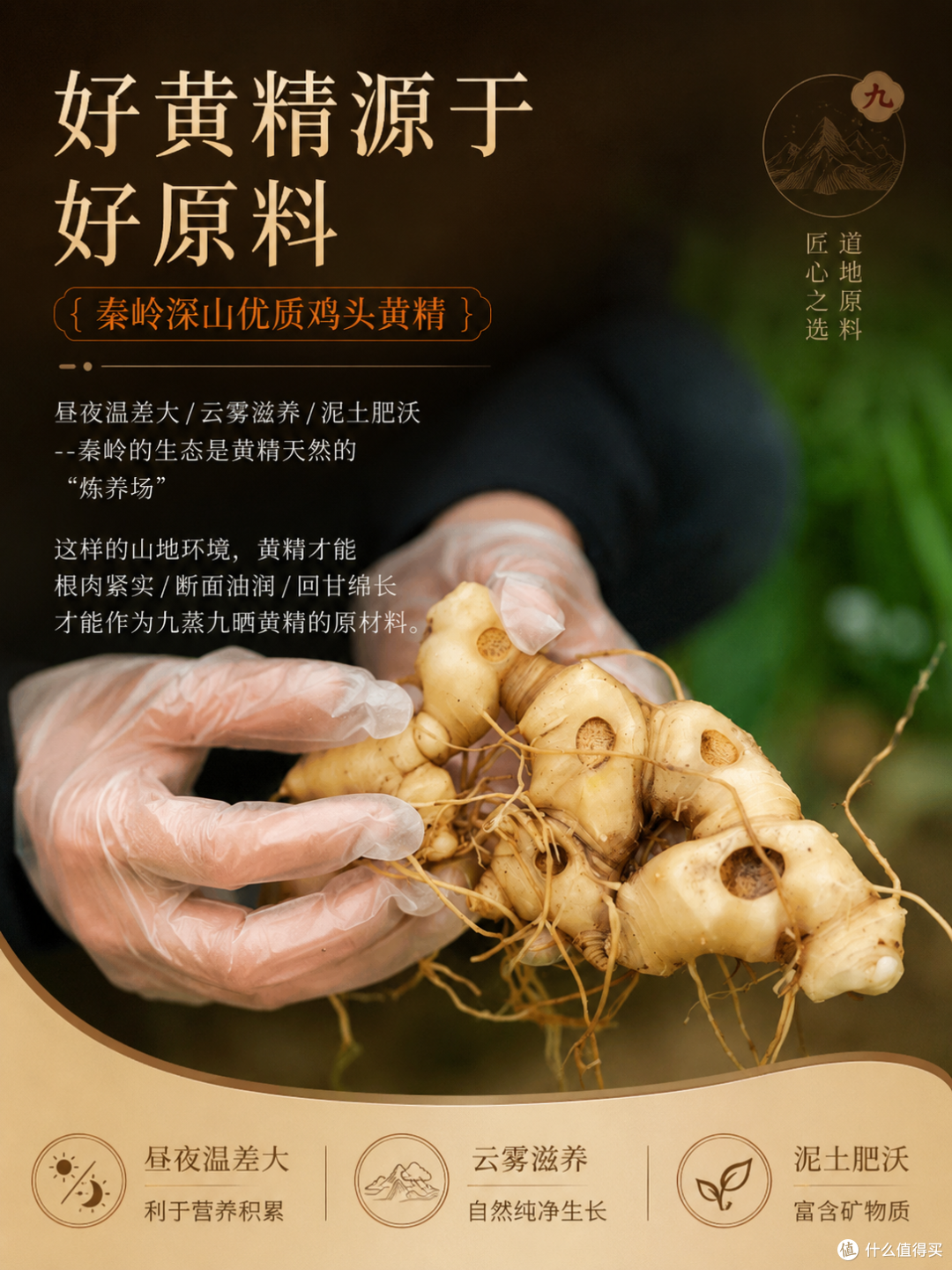 中老年用黄精泡水喝,别直接用开水冲,多加一步营养更好吸收