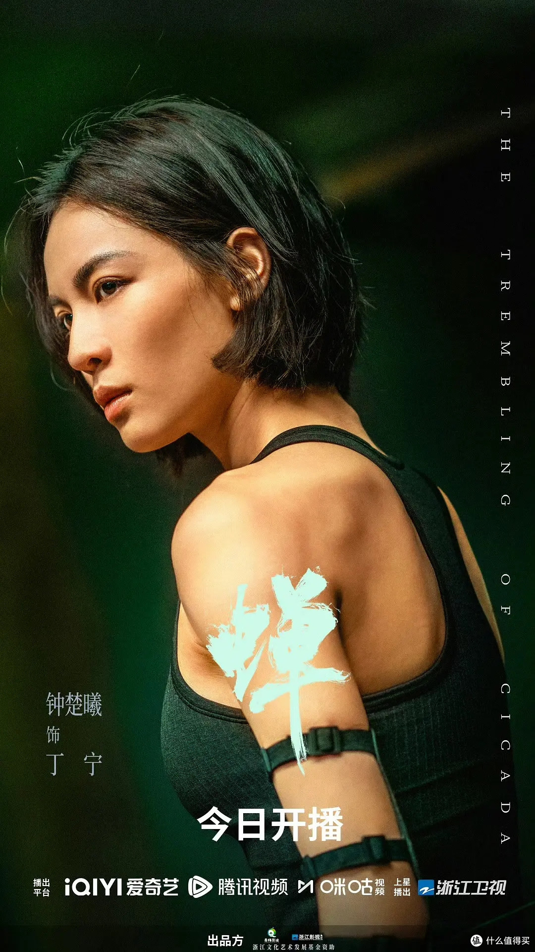 螳螂捕蝉,黄雀在后,律政悬疑剧《蝉》开播