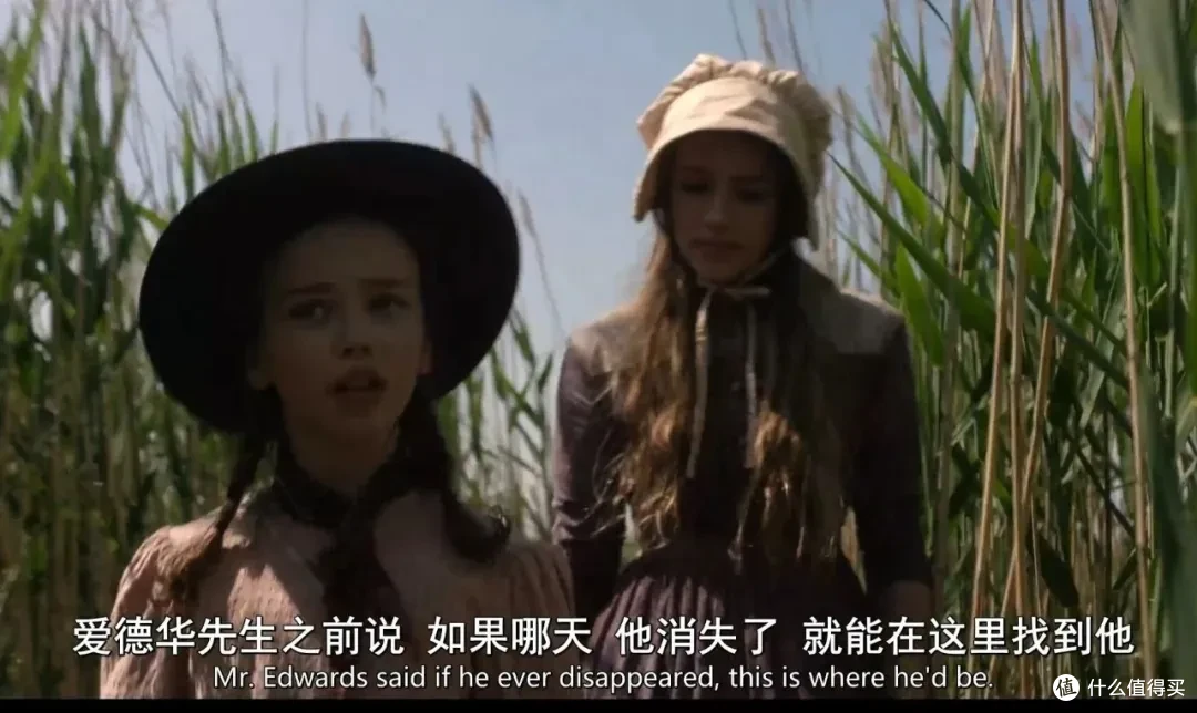 一次性放出全集,网飞又拍一部西部美剧