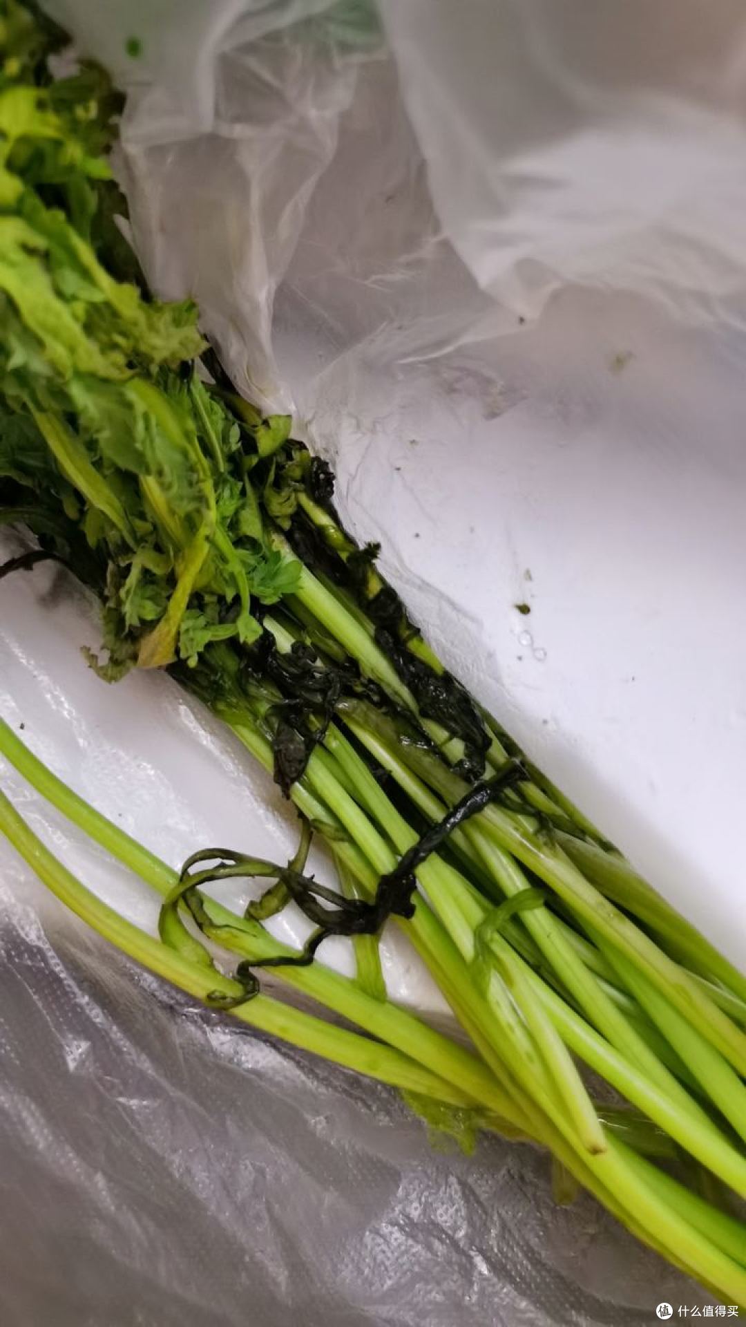 维修师傅说冰箱超3000都是智商税,这话只对了一半