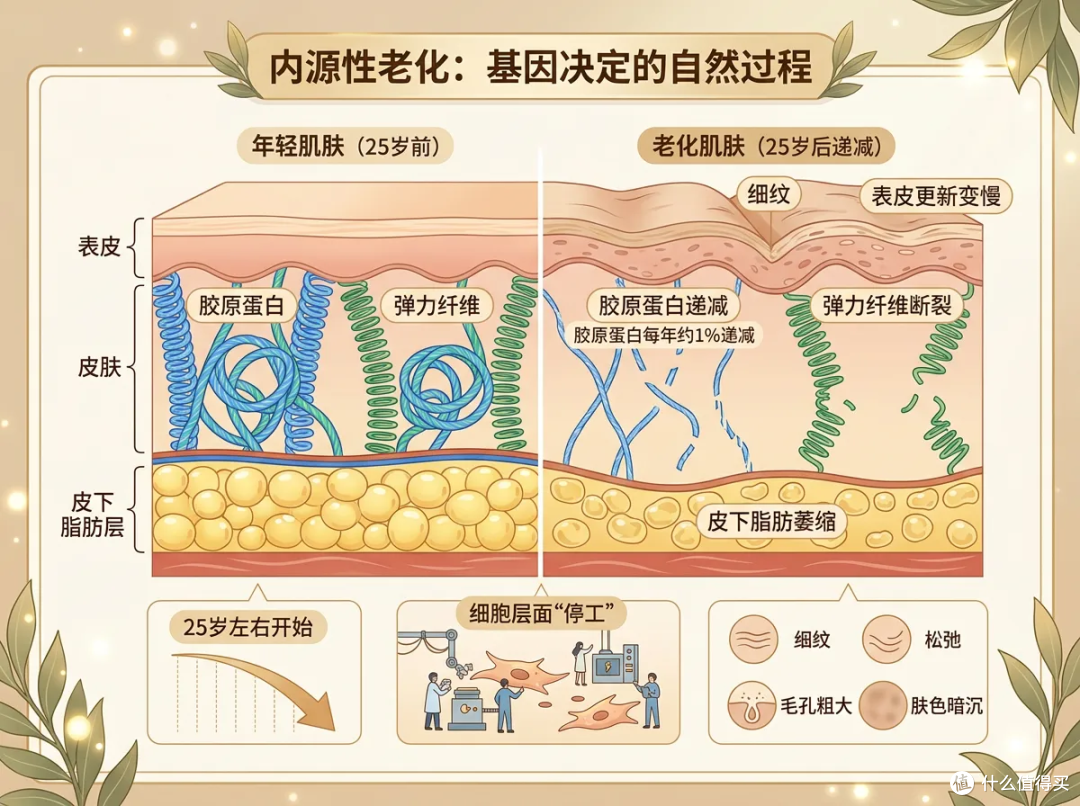 童年女神老了?46岁高圆圆无滤镜生图刷屏,网友:跟变老焦虑和解了