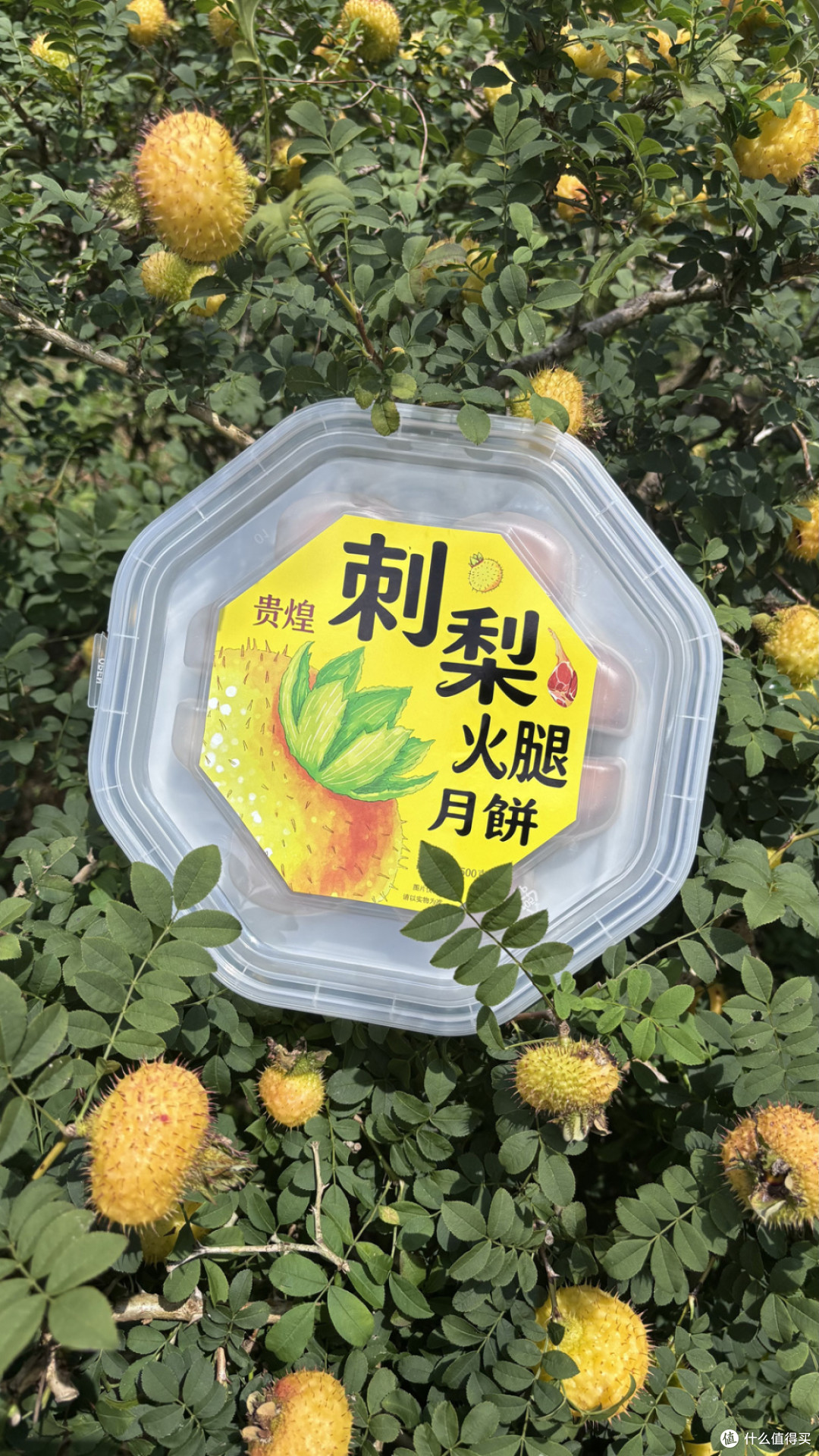 贵煌刺梨火腿月饼