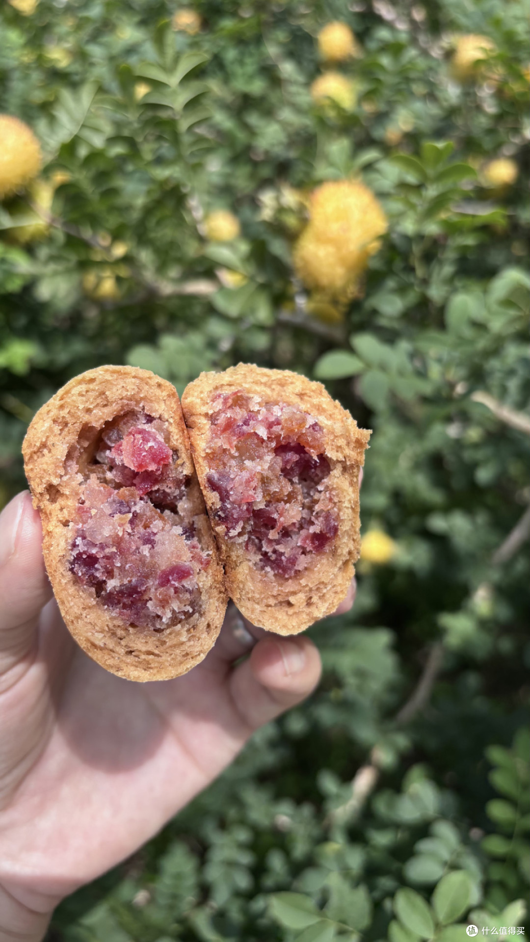 贵煌刺梨火腿月饼