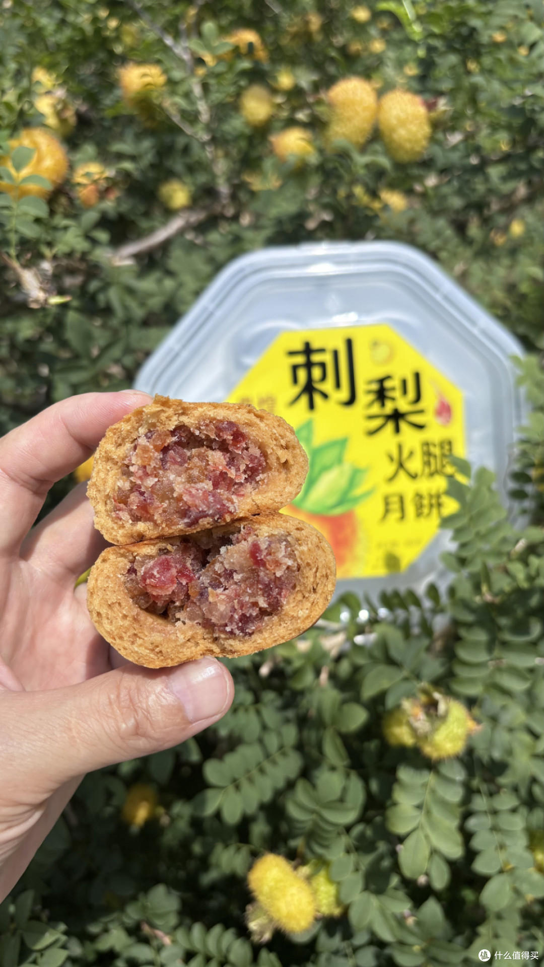 贵煌刺梨火腿月饼