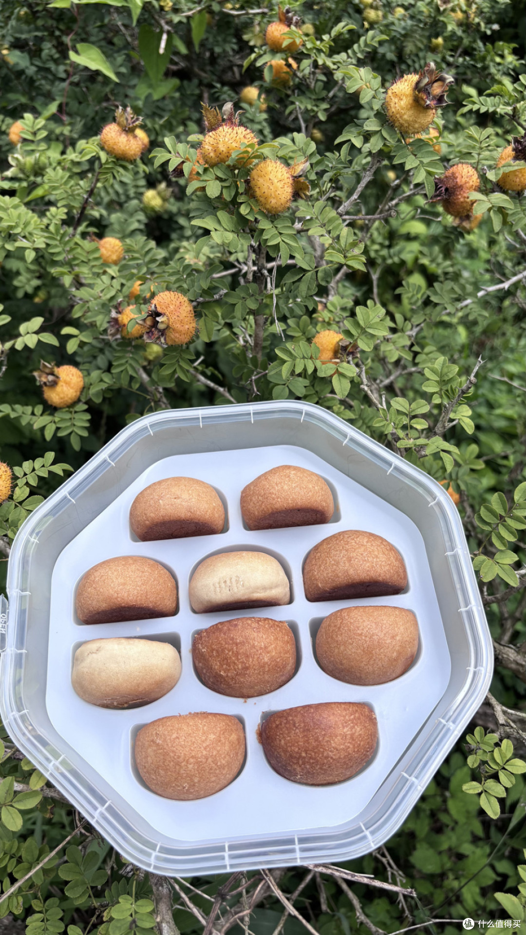 贵煌刺梨火腿月饼