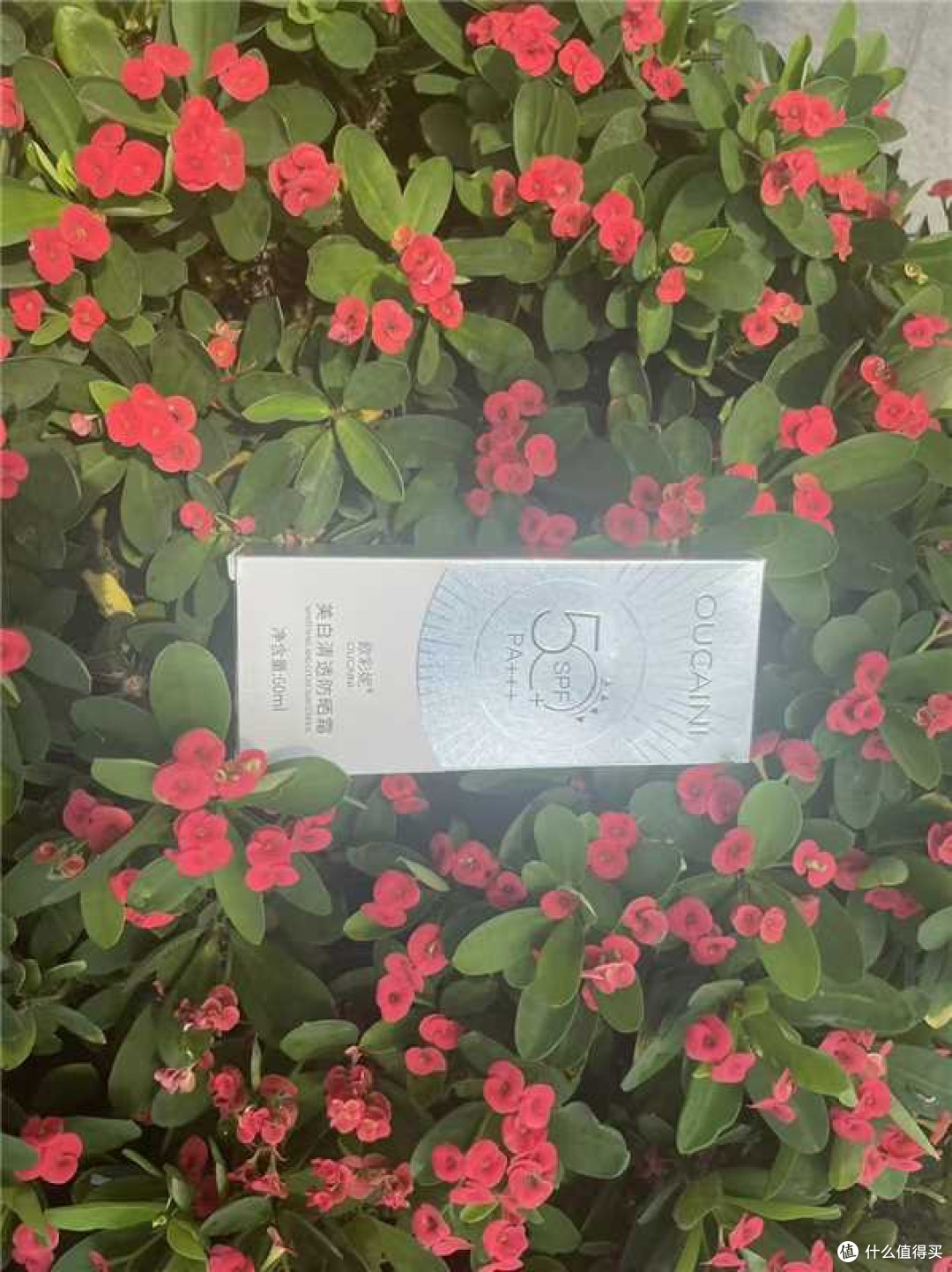 # 户外板报绘制军训防晒测评｜蹲坐单侧日晒 植蔓草 42 天实测
