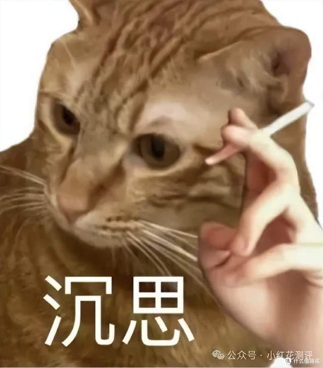 有机认证，会是假的吗？检测11项指标，「扒皮」！