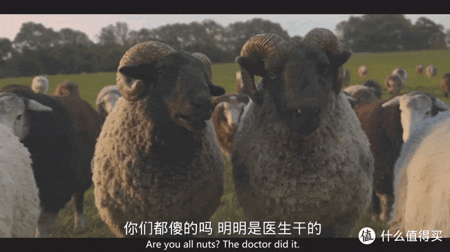 全员大咖,这部新片很顶啊