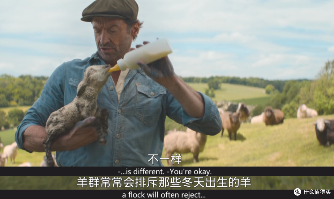 全员大咖,这部新片很顶啊