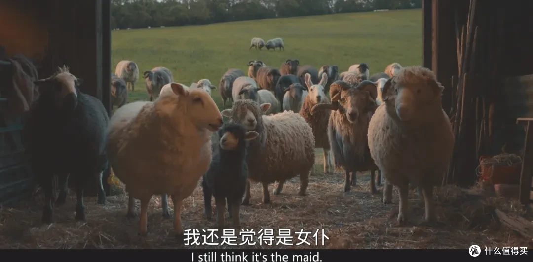 全员大咖,这部新片很顶啊