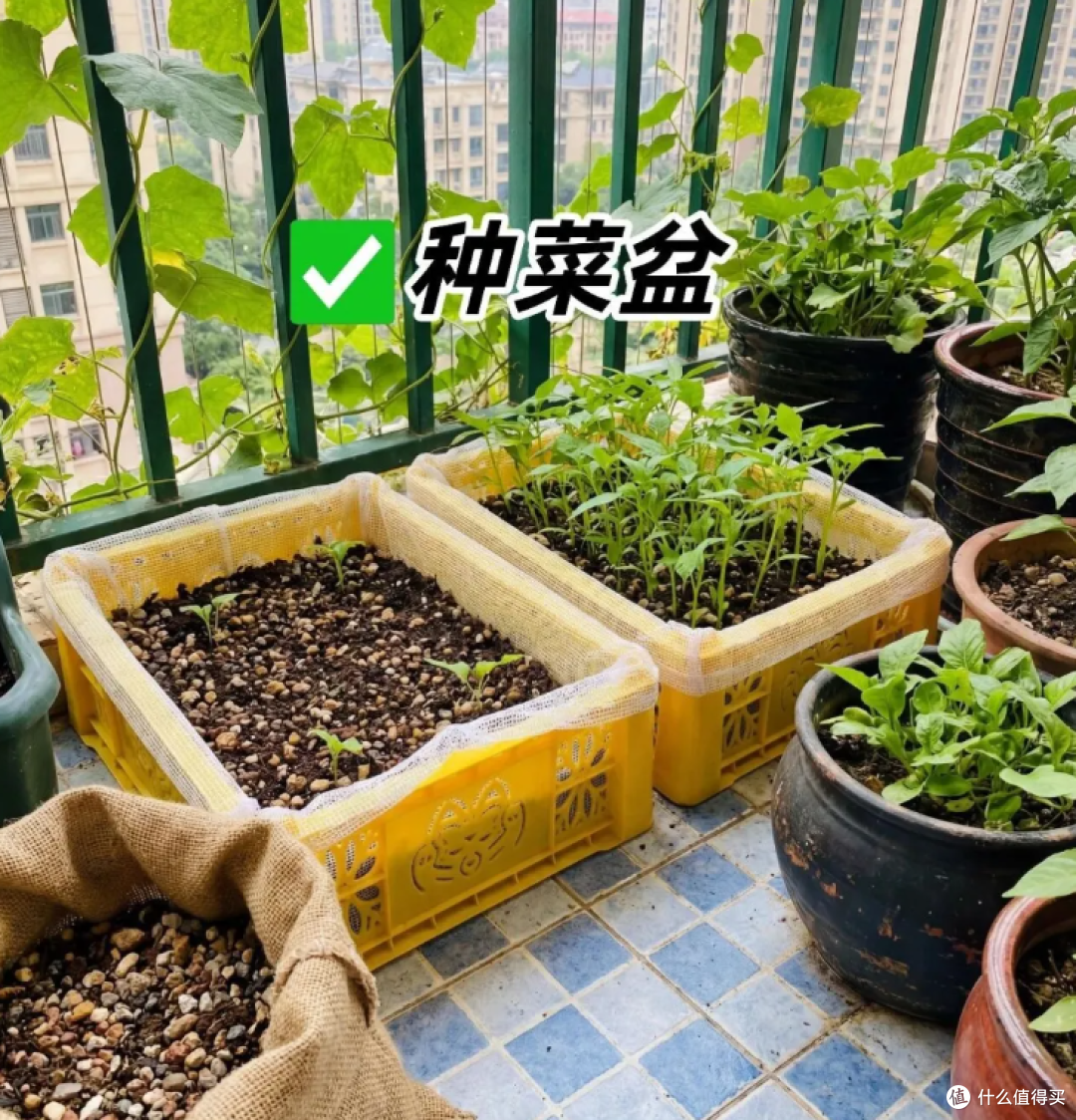 装水果的筐子千万扔掉，这样改造一下，全家人都抢着用！