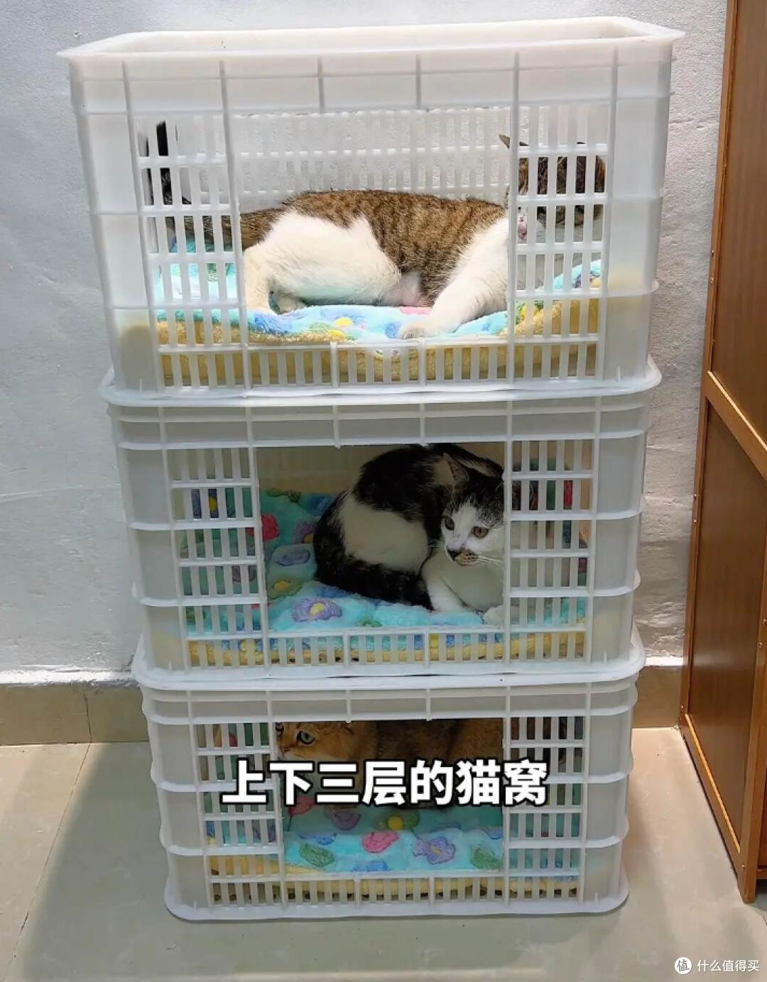 装水果的筐子千万扔掉，这样改造一下，全家人都抢着用！