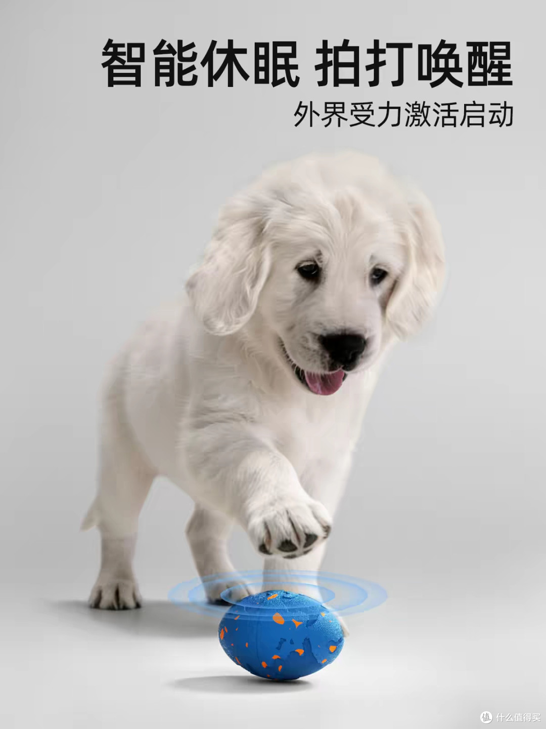 耐咬弹力球适合日常互动